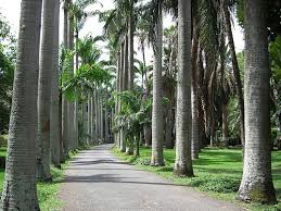 El Jardín botánico tiene un hermano en Londres